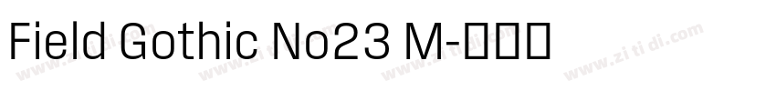 Field Gothic No23 M字体转换